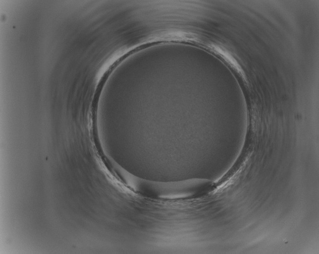 X0000073890944200608180930