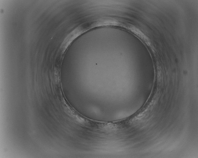 X0000073890945200608180930