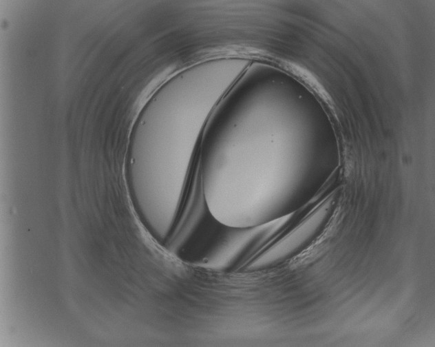 X0000073890946200608180930