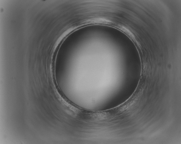 X0000073890947200608180930