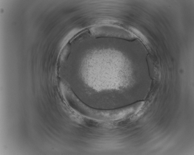 X0000073890948200608180930