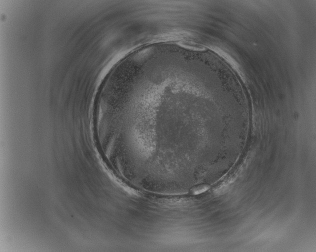 X0000073890949200608180930