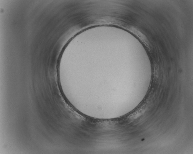 X0000073890950200608180930