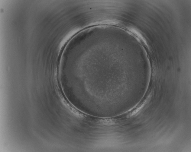 X0000073890952200608180930