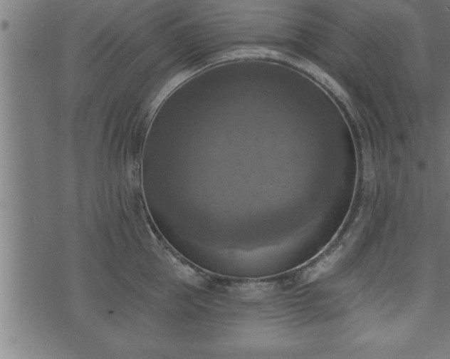 X0000073890953200608180930