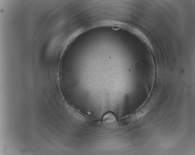 X0000073890954200608180930