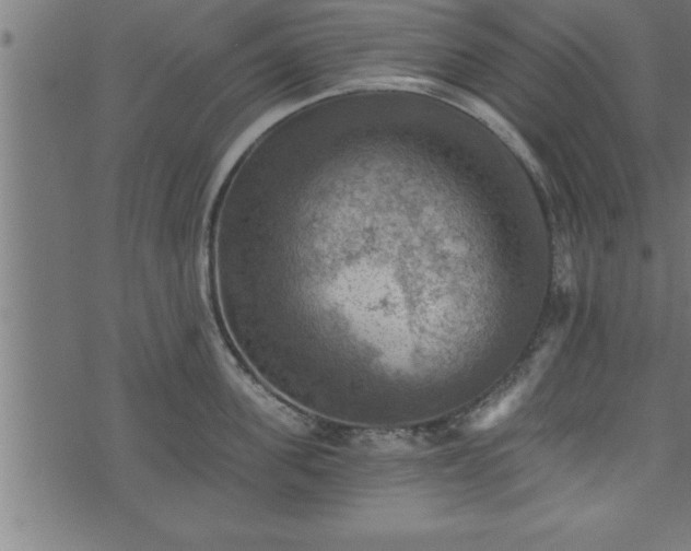 X0000073890955200608180930