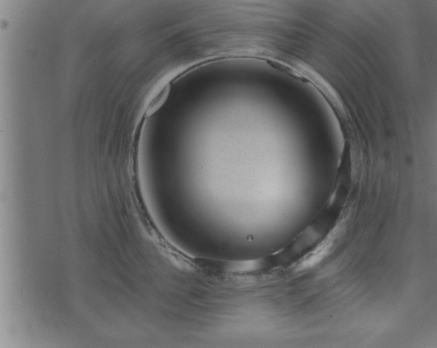 X0000073890956200608180930