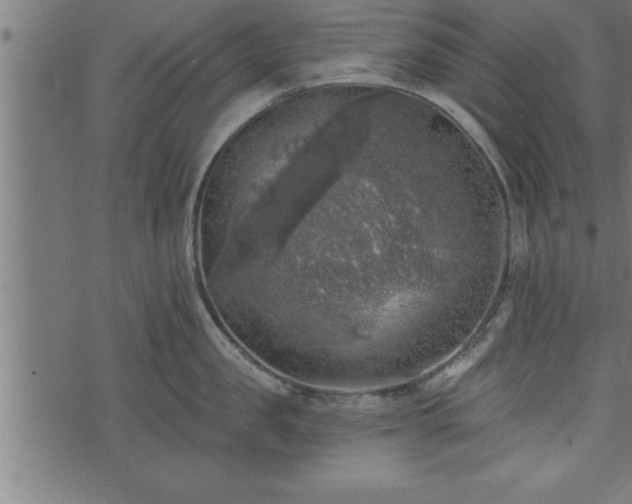 X0000073890957200608180930