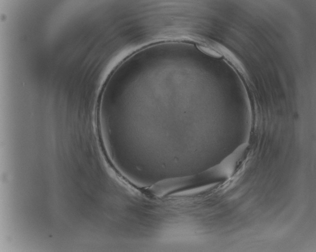 X0000073890958200608180930