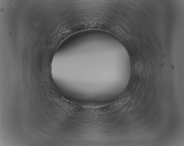 X0000073890961200608180929