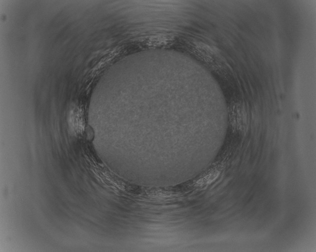 X0000073890962200608180929