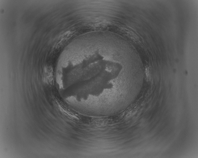 X0000073890963200608180929