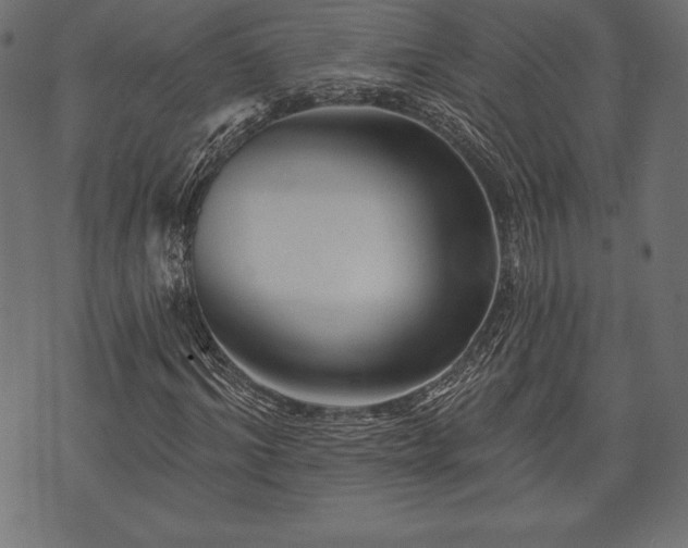 X0000073890964200608180929