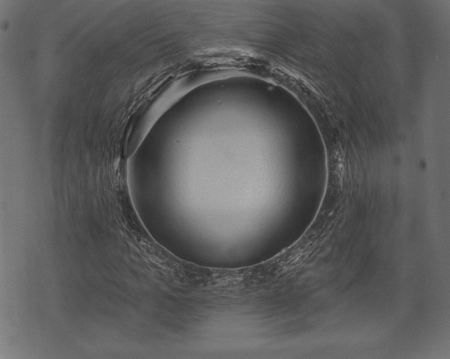 X0000073890965200608180929