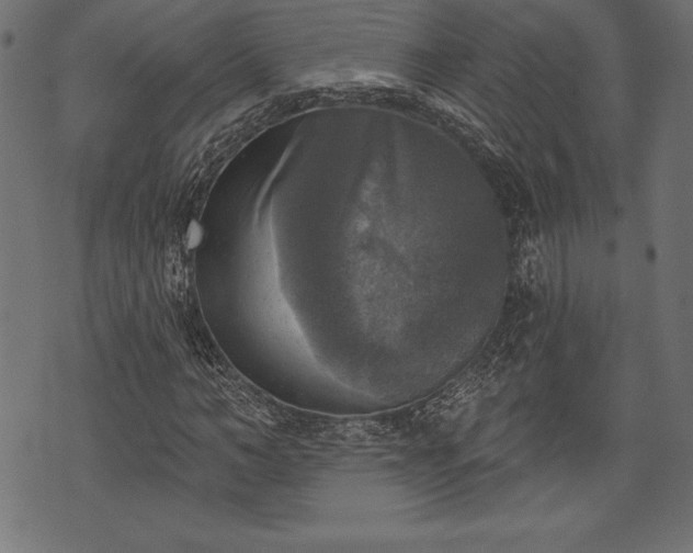 X0000073890966200608180929