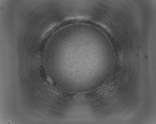 X0000073890967200608180929