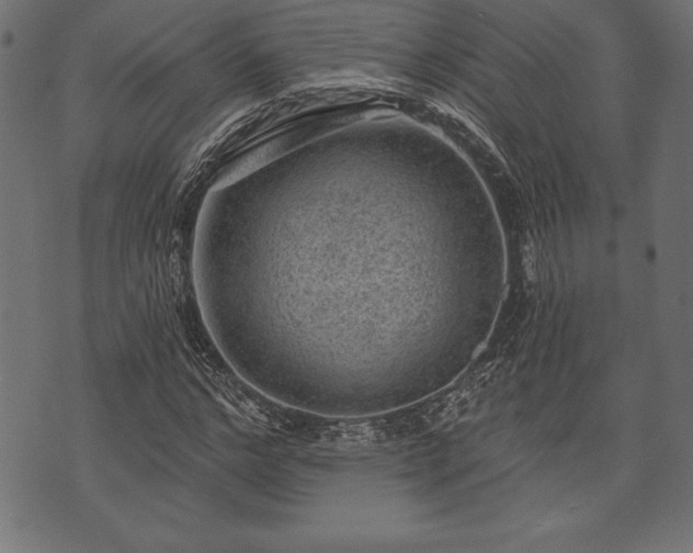 X0000073890968200608180929