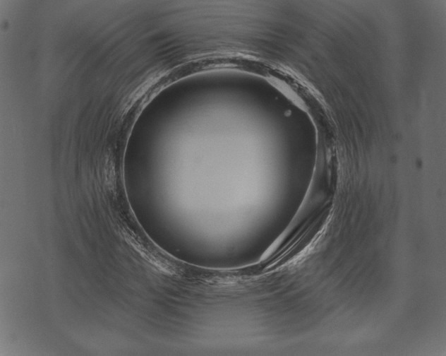 X0000073890969200608180929