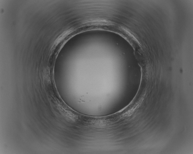 X0000073890970200608180929