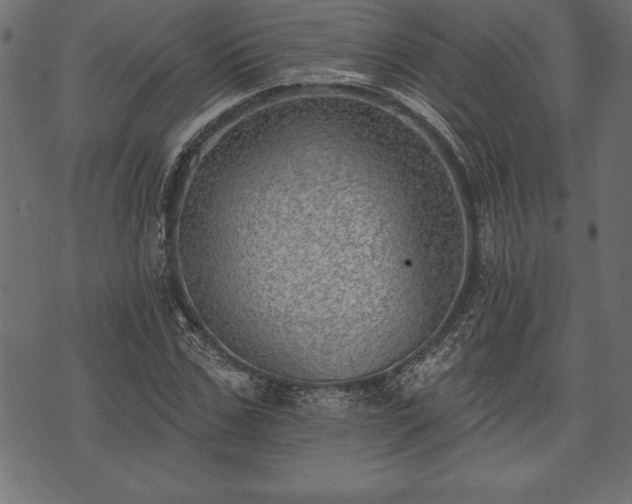 X0000073890971200608180929