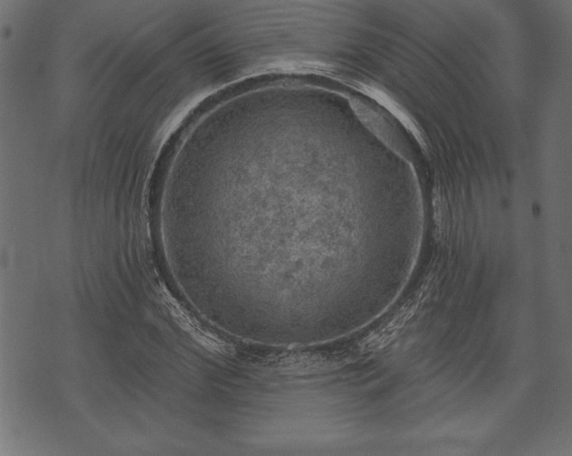 X0000073890972200608180929