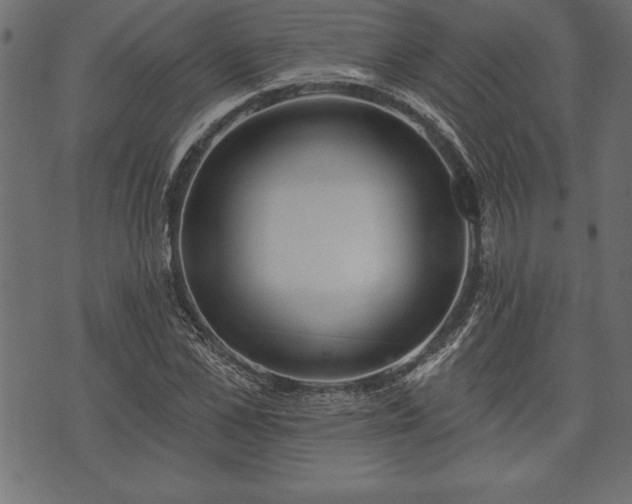 X0000073890973200608180929