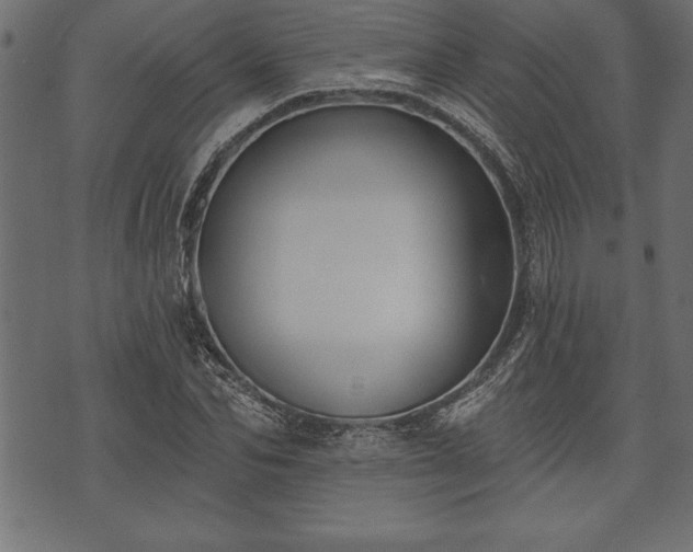 X0000073890974200608180929