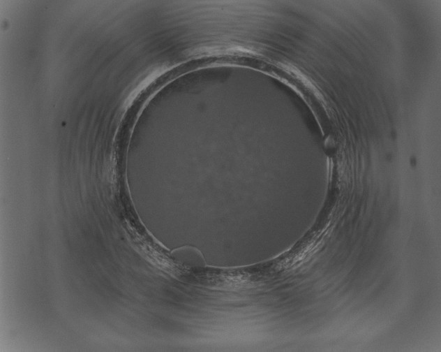 X0000073890975200608180929