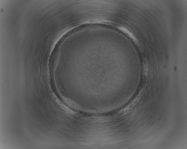 X0000073890976200608180929