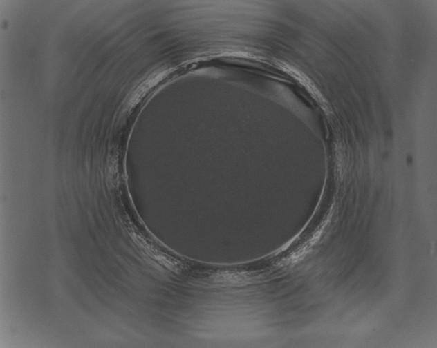 X0000073890977200608180929