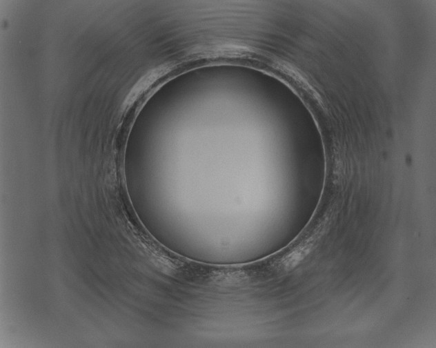 X0000073890978200608180929