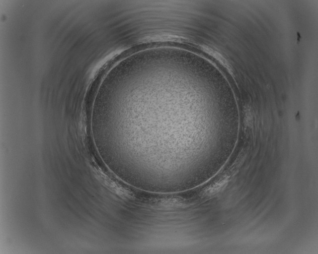 X0000073890979200608180929