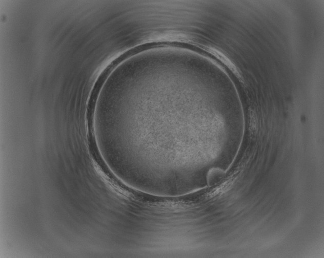 X0000073890980200608180929