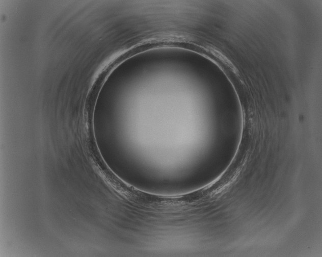 X0000073890981200608180929