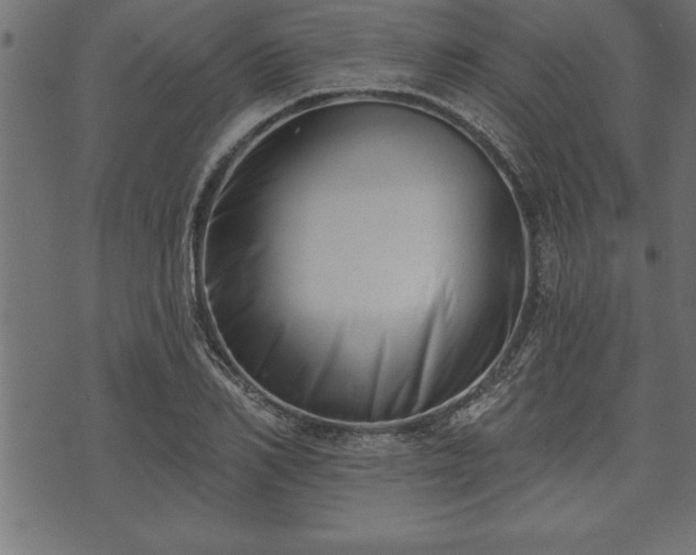 X0000073890982200608180929