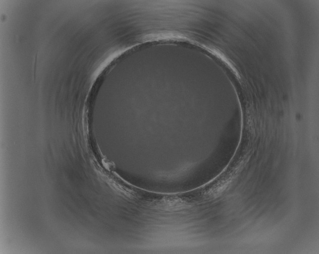 X0000073890983200608180929