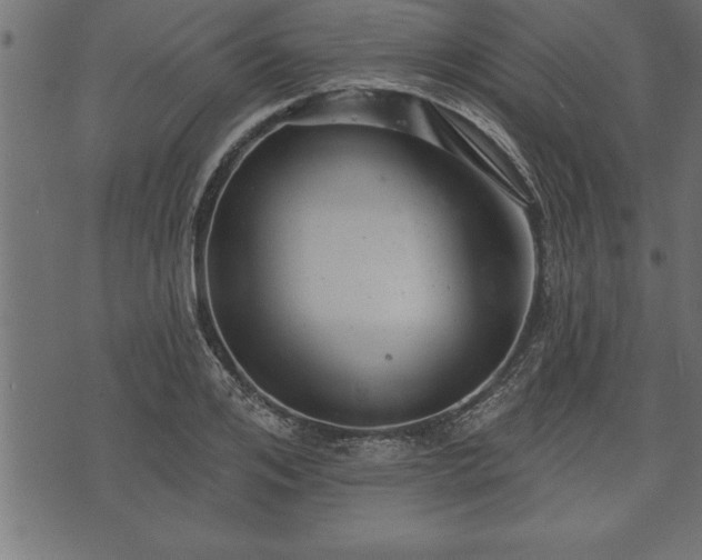 X0000073890984200608180929