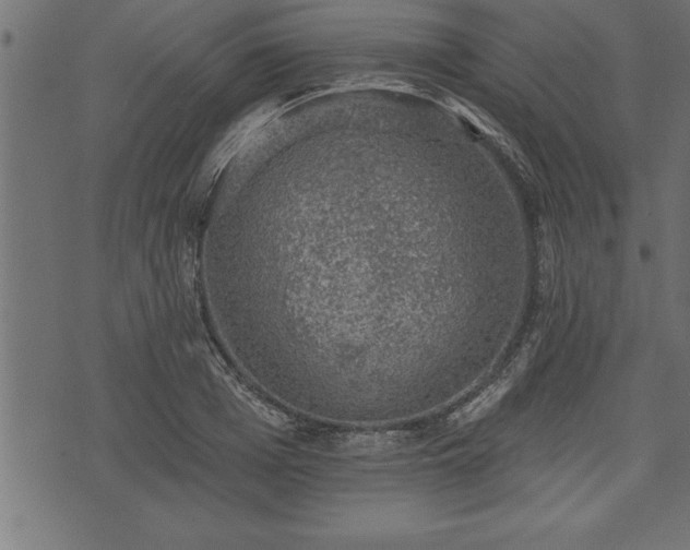 X0000073890985200608180929