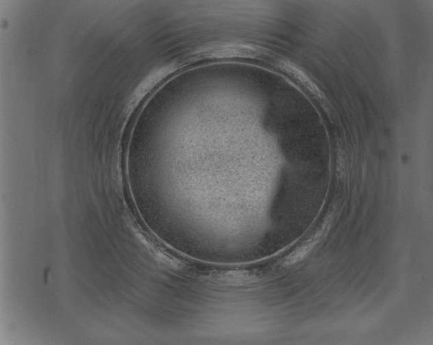 X0000073890986200608180929