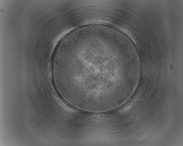 X0000073890987200608180929