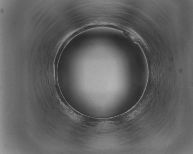 X0000073890988200608180929