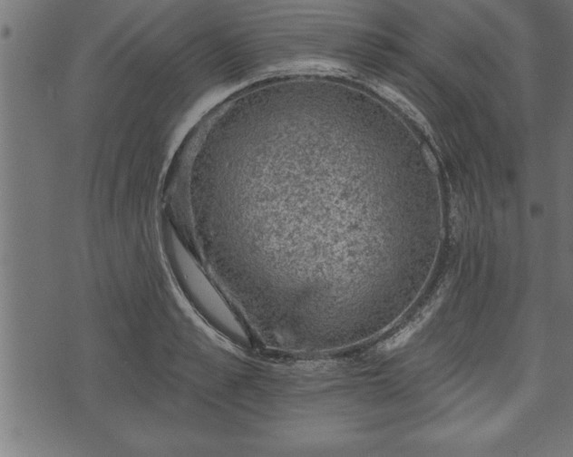 X0000073890989200608180929