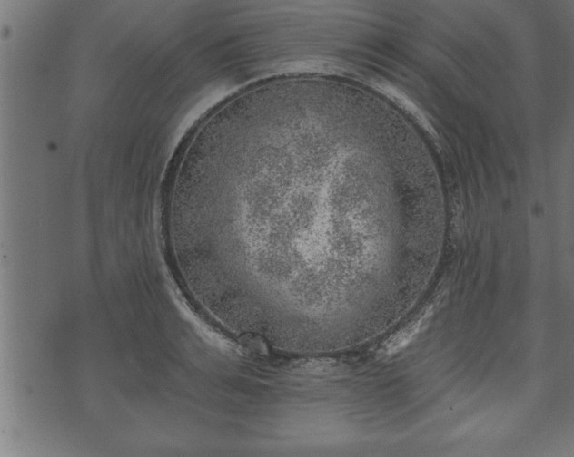 X0000073890991200608180929