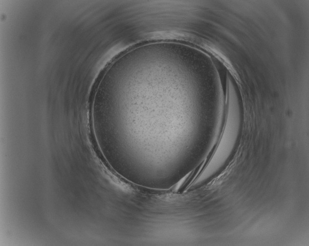 X0000073890992200608180929