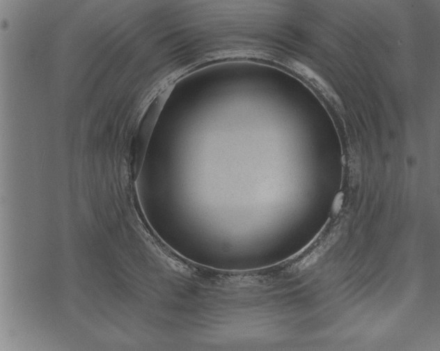 X0000073890993200608180929