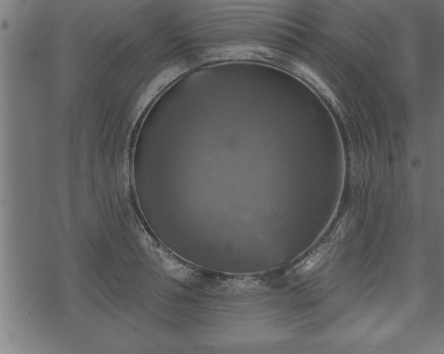 X0000073890994200608180929