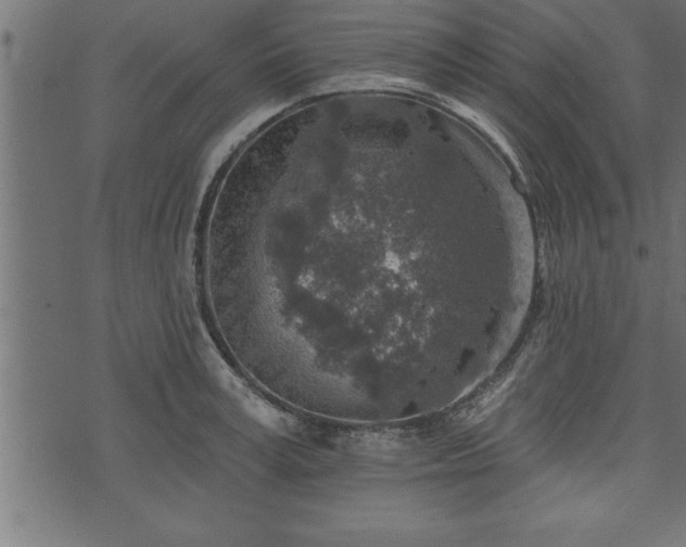 X0000073890995200608180929