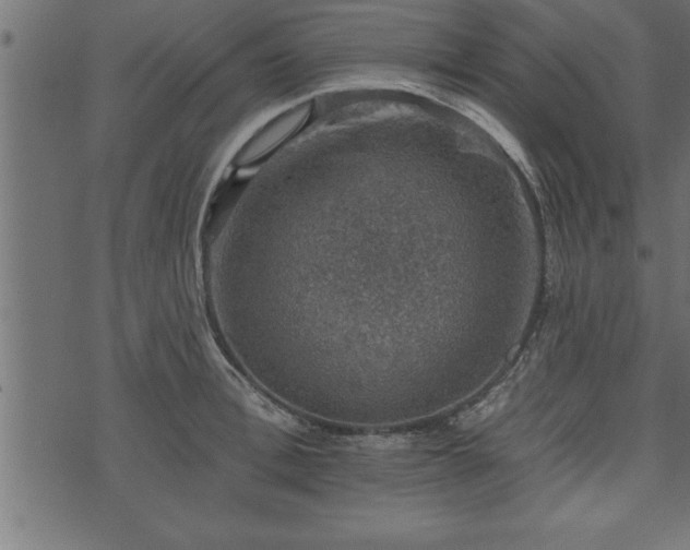 X0000073890996200608180929