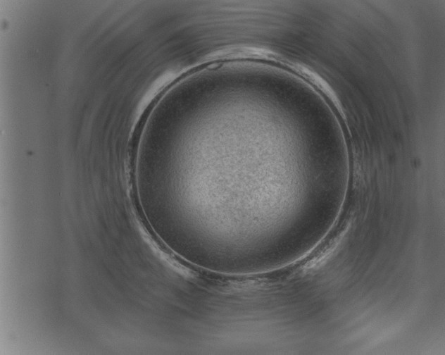 X0000073890997200608180929